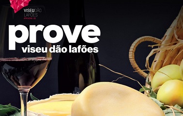 Prove Viseu Dão Lafões